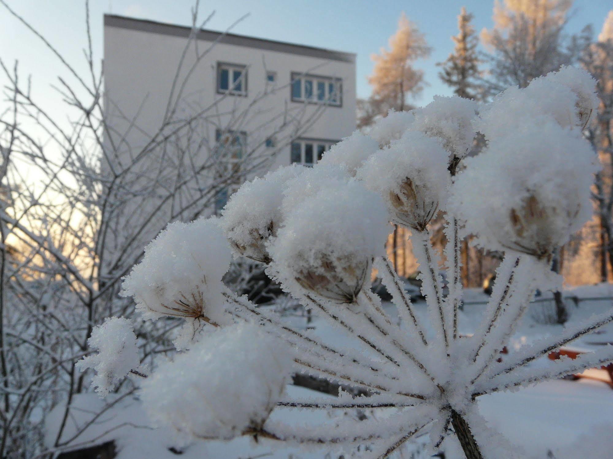 Vila Emma Strbske Pleso Exterior photo